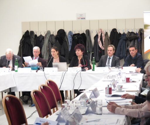 D-CAHT Round Table Vienna