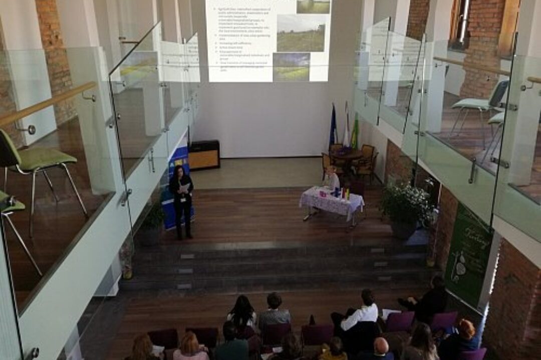 Danube Transnational Programme (DTP) projects from the 1st Call