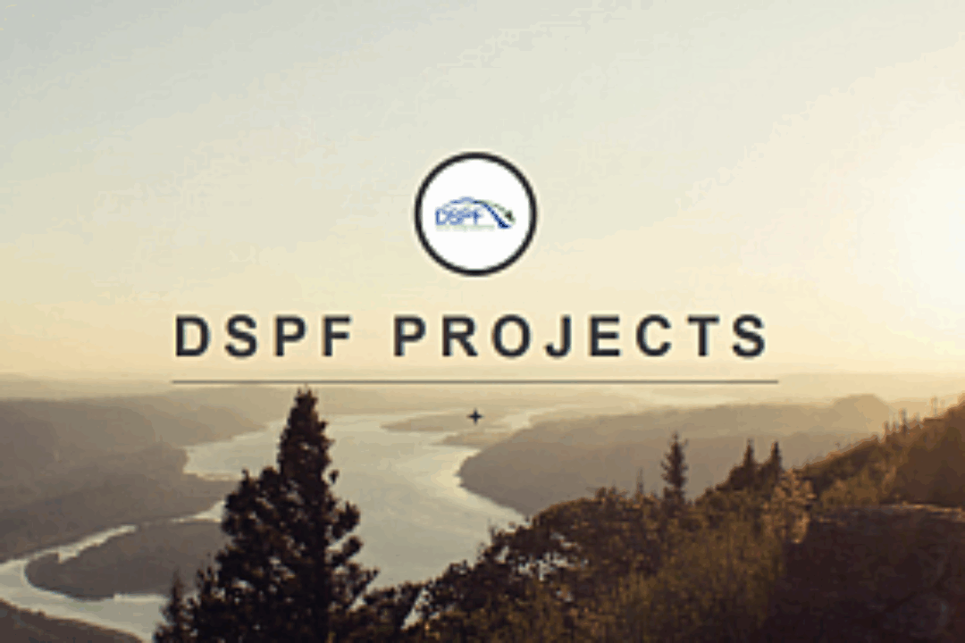 DSPF blog on tumblr
