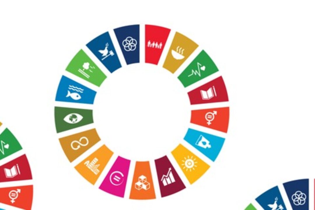 How does your city perform in achieving the SDGs?