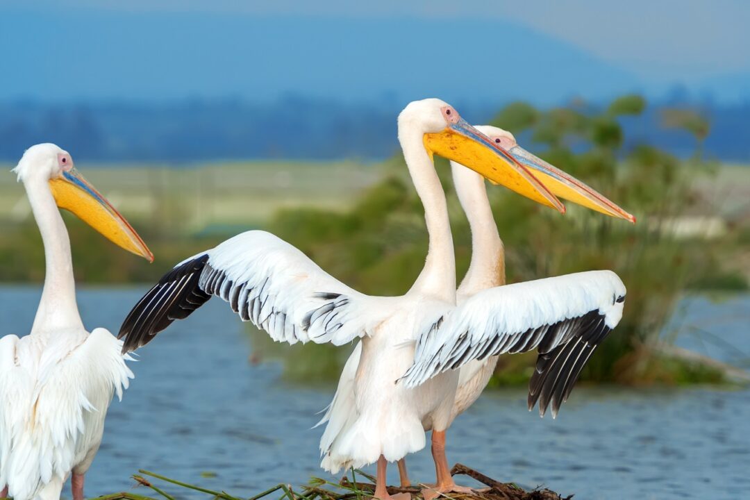 Latest EUSDR Implementation Report now available