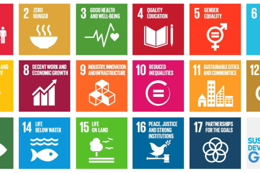 CEI launched Call for initiative “Active Young Citizens for Sustainable Development”