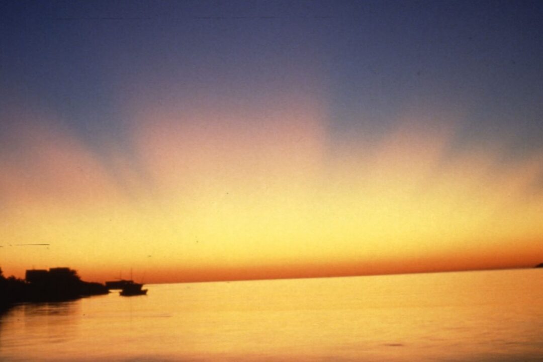 Danube Day Conference: Biodiversity and municipalities