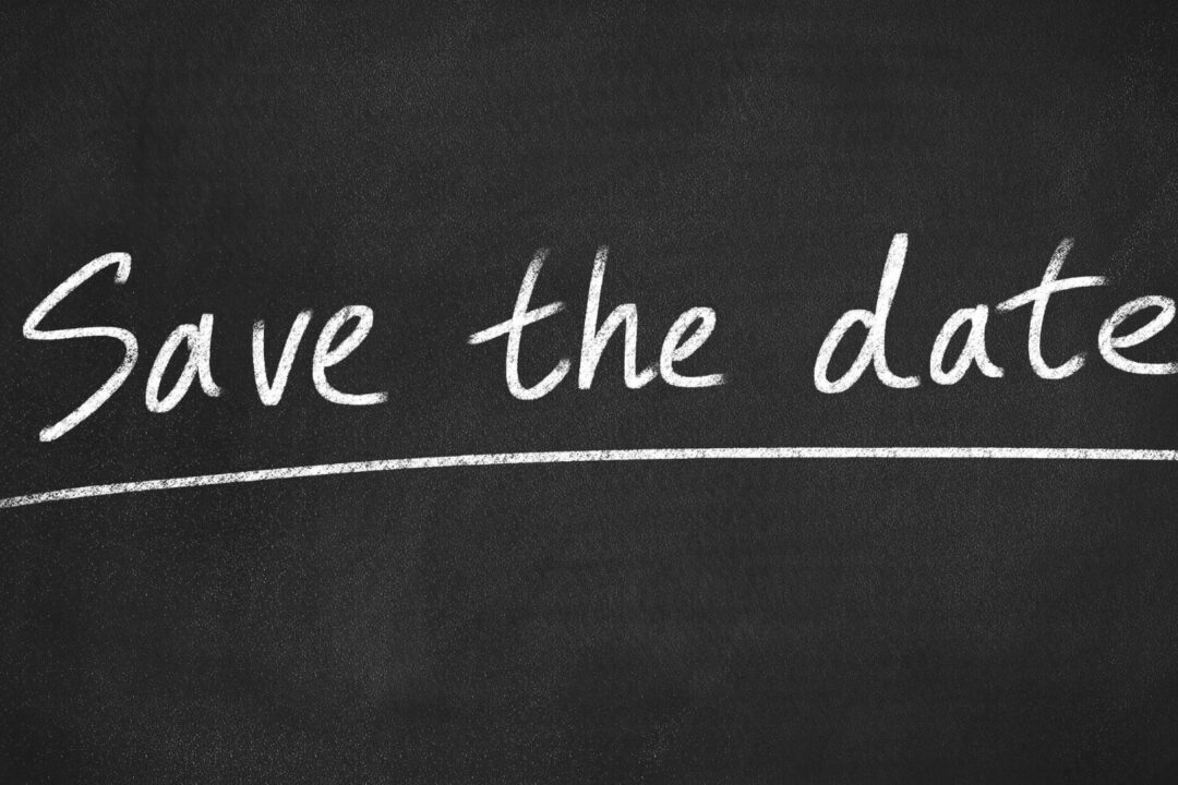 EUSDR Thematic Conferences