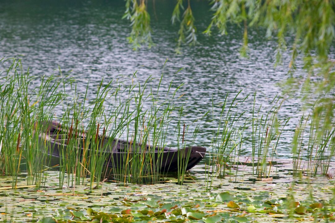 LIFE Funding for Climate Governance capacity building