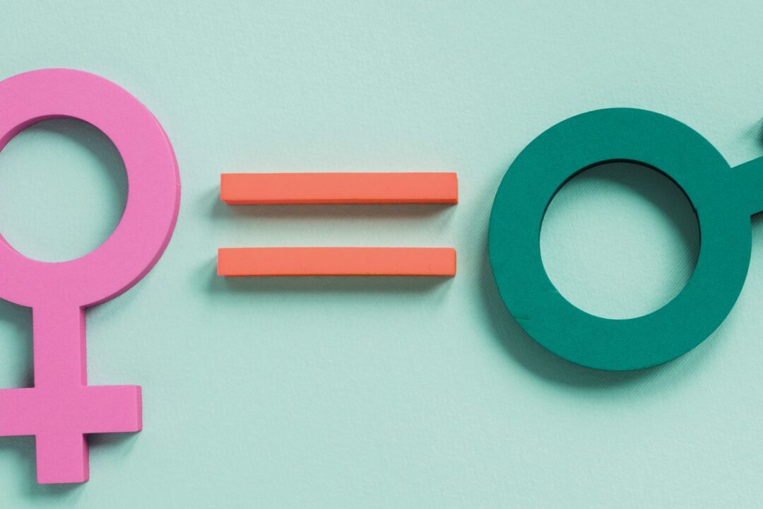 Supporting gender equality in the Danube Region #IWD2022