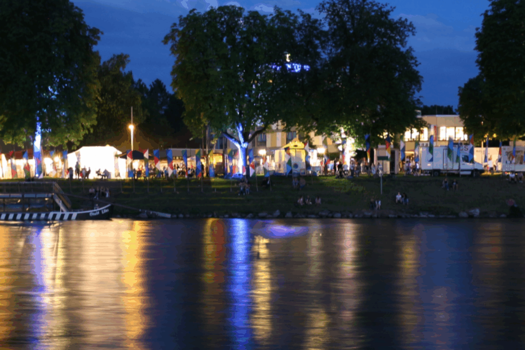 Join the 12th International Danube Festival