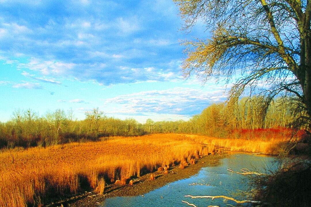 Progress in the macro-regions – 4th report from the European Commission