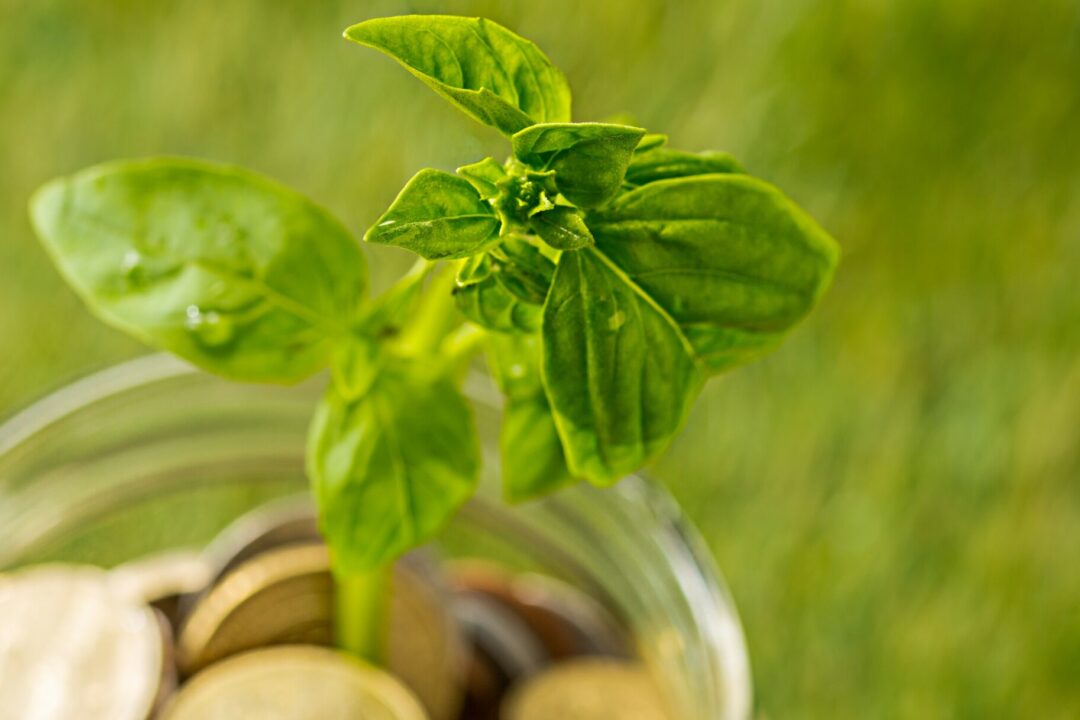 European Commission published Proposal for Mulit-Annual Financial Framework