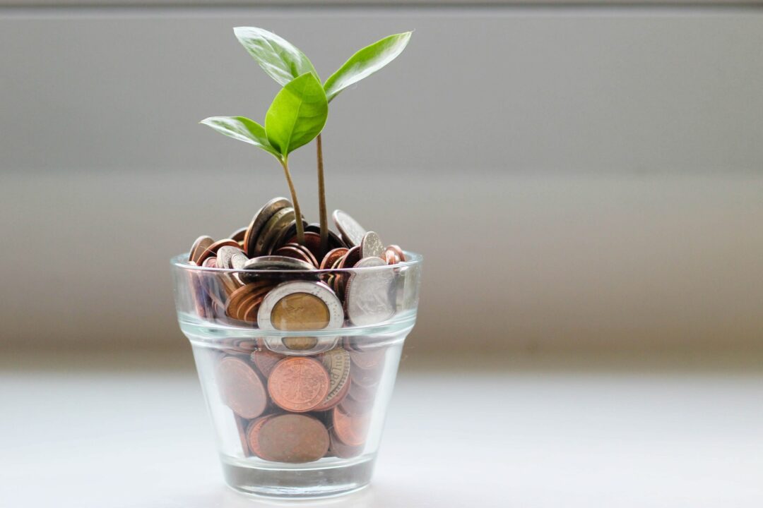 Online Info Session: Seed Money Facility for Strategic Projects