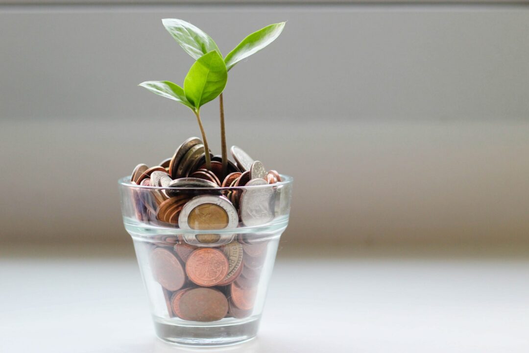 Online Info Session: Seed Money Facility for Strategic Projects