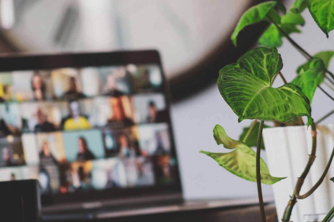 Coming up! Foster Europe Foundation’s Interactive Training Sessions