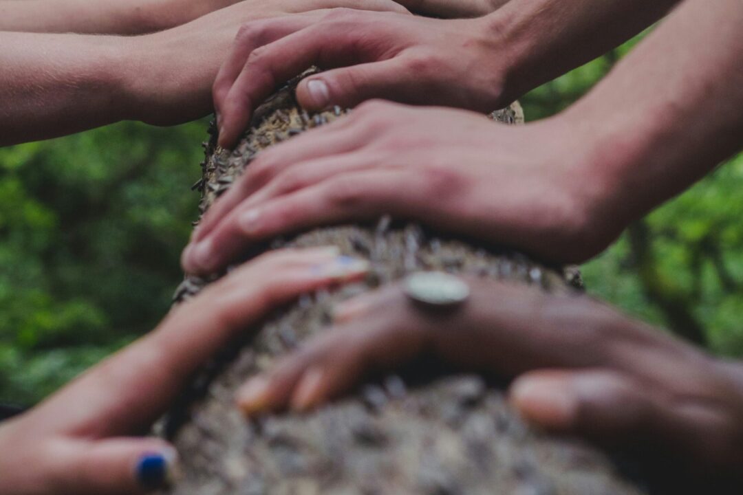 3rd EUSDR National Austrian Participation Day is coming up!