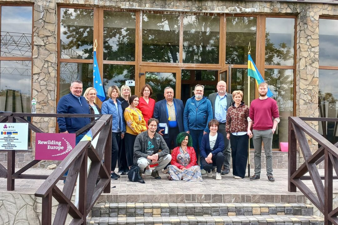 4th National Participation Day in Ukraine – Highlights