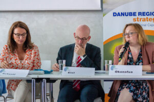 11th Danube Participation Day – Vienna