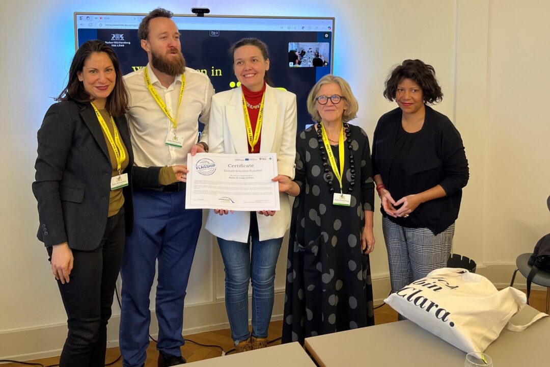 PA10 Danube Strategy Flagships 2024