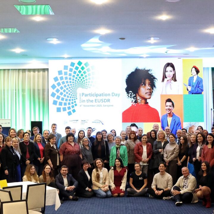 12th Danube Participation Day: Highlights