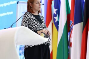 12th Danube Participation Day