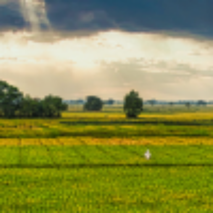 Bridging Vision and Action: Registration is open now!