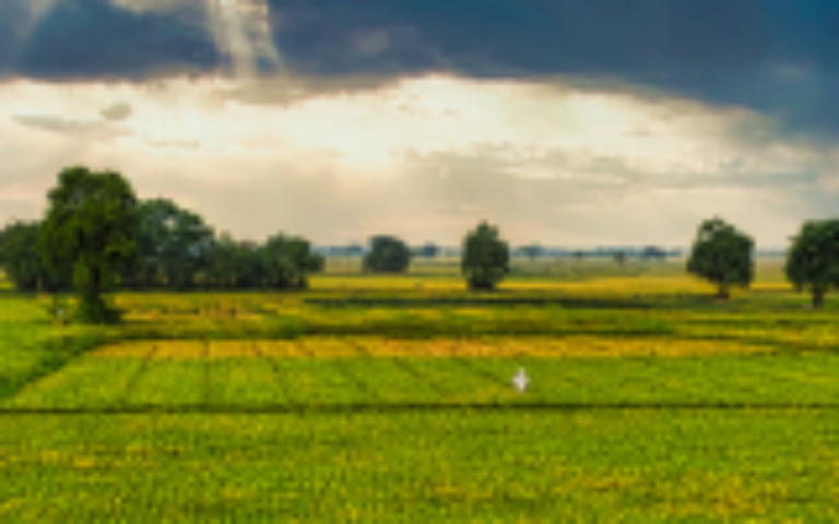 Bridging Vision and Action: Registration is open now!