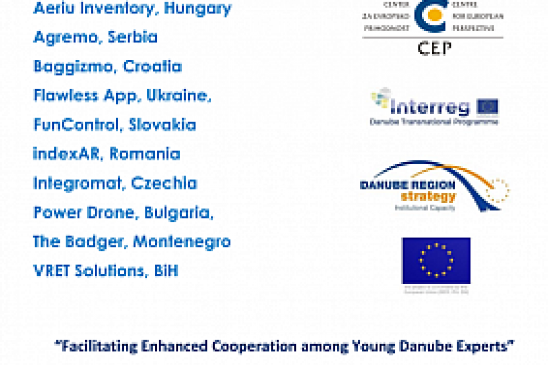 What are the youngsters from Danube region thinking