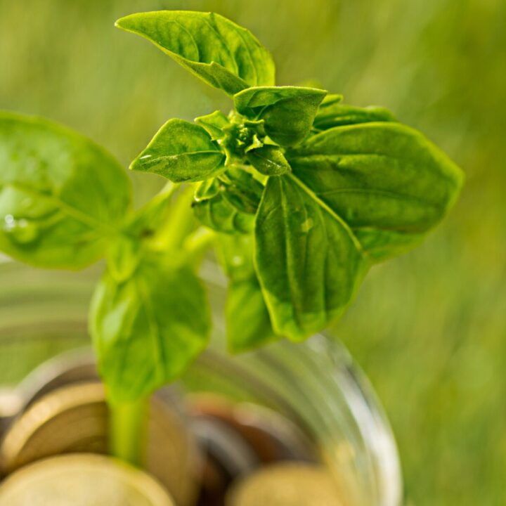 European Commission published Proposal for Mulit-Annual Financial Framework